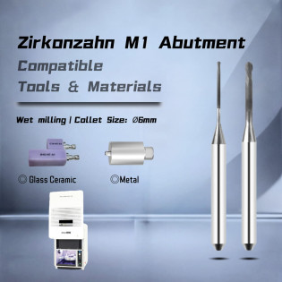Zirkonzahn M1 Abutment