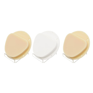 Multilayer PMMA Resin Disc 89mm for Amann Girrbach Ceramill - 21 Shades - Alternate View
