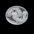 Transparent CAD/CAM PMMA Disc 98mm for Open Milling System - Image 5