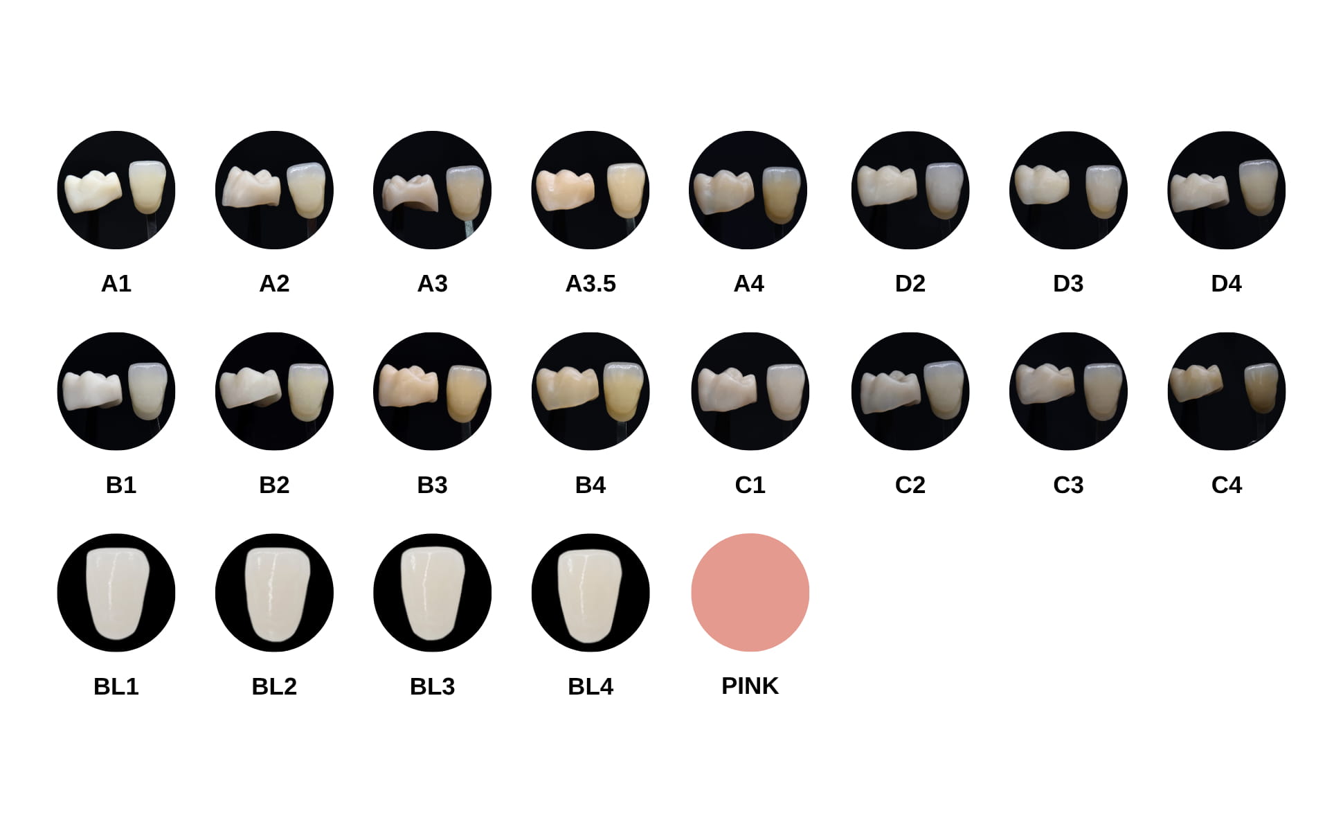 Monolayer PMMA Disc 98mm - Complete VITA shade guide showing 22 available colors