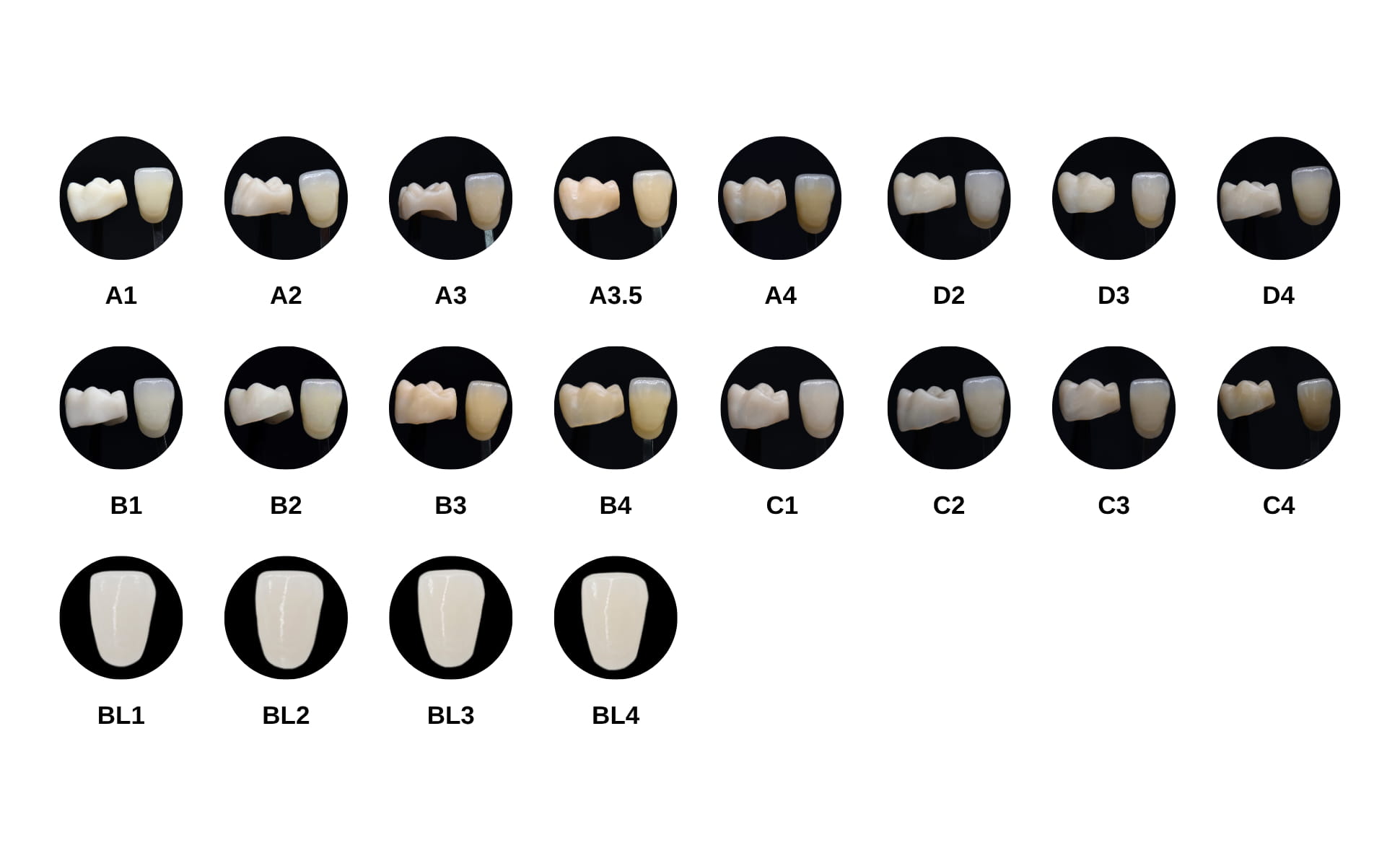 C14 LT Glass Ceramic Blocks Shade Reference